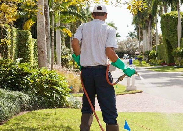 About Onaga KS Pest Control